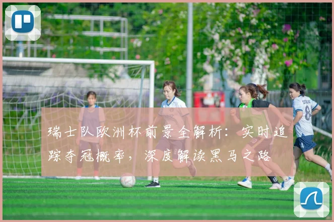 瑞士队欧洲杯前景全解析：实时追踪夺冠概率，深度解读黑马之路